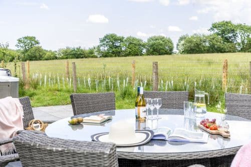 Blossom Lodge, 1 Roadford Lake Lodges, Roadford Lake, Devon, photo 2 of 5