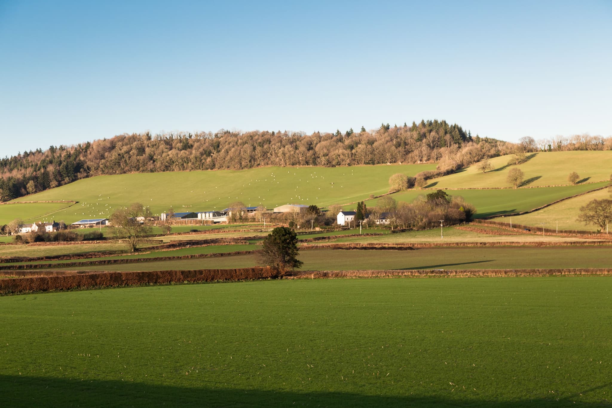 Llancayo Windmill, Near Usk, Monmouthshire, photo 3 of 3