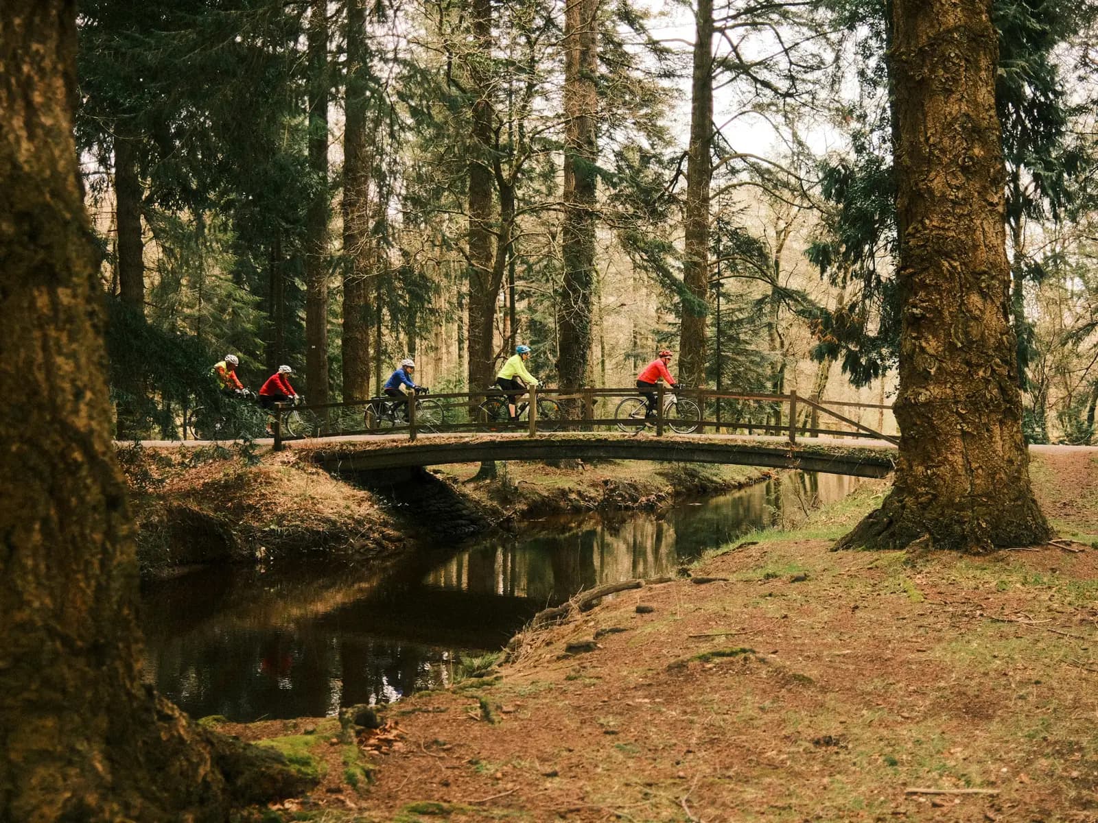 Cyclists crossing a wooden footbridge over a stream in New Forest woodland