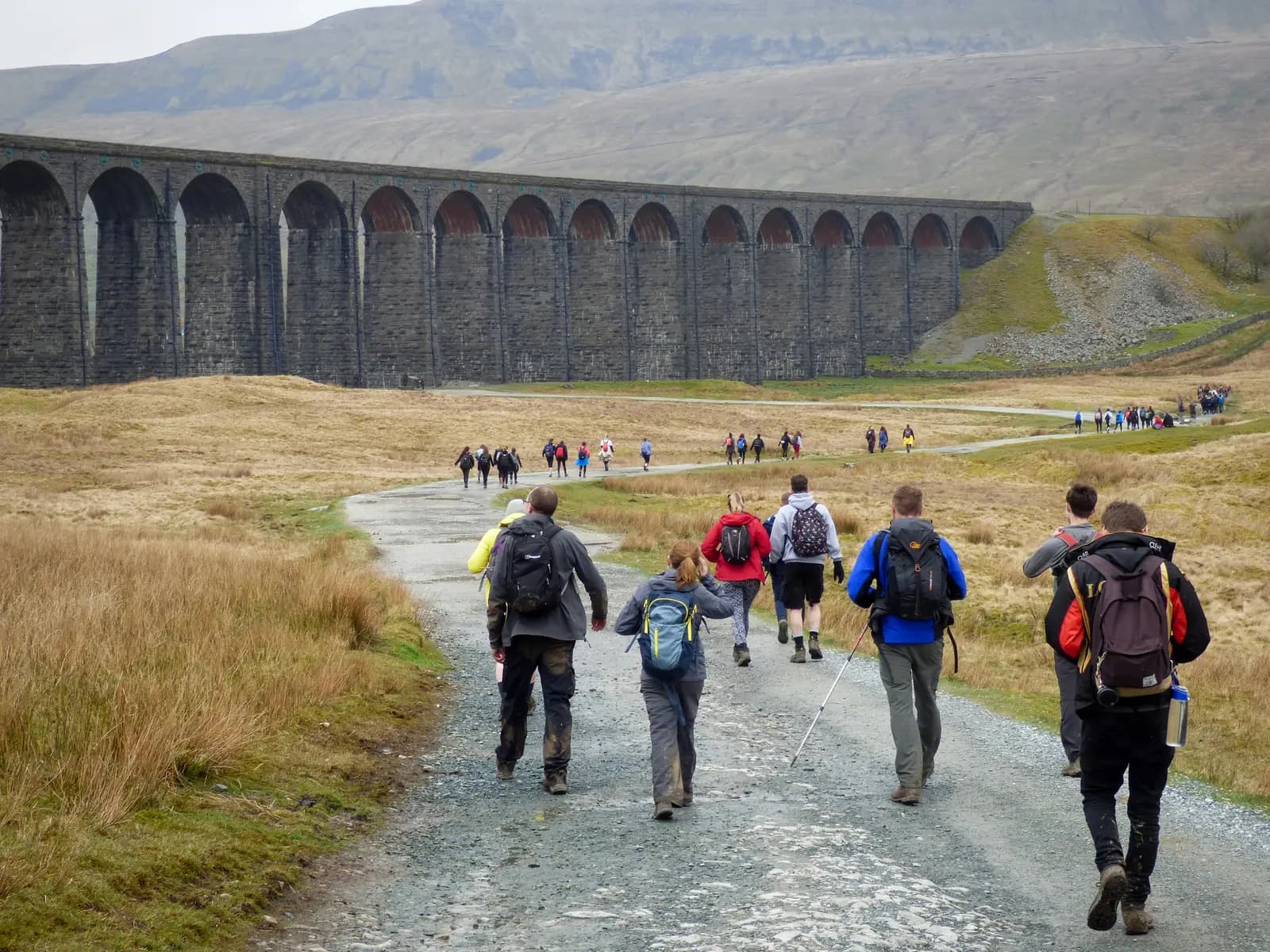 A group of walkers on the gravel path up to the Ribblehead Viaduct in the Yorkshire Dales, with the long whaleback of Whernside rising behind under an overcast sky